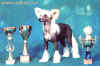 Gessi se 3 poháry z 30, které získala v sezóně 2001.