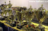 Část pohárů pro vítěze výstavy Alpen-Adria kupa 2001.