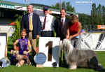 Luzern 2003 - Res, BIS. The great day for Chinese crested, for Gessi and for me. Thanks to judge and president FCI Hans W. Müller.