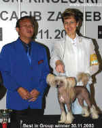 30.11. 2003 Best in Group winner + 29.11. BIG 3 - Ich. Gessi Modrý květ, judge: Chan Weng Woh - Malaysia