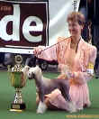 4. místo Best in Show + BIG winner - Berlín 2002 - Gessi Modrý květ. Thanks to Petru Muntean!