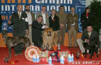 BIS at International dog show 5.3.2006 Sevilla chow-chow Chinabear Fabels N Fairy Tales.