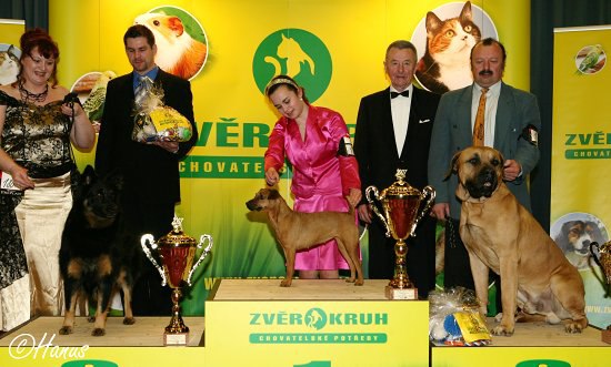 Šampion šampionů ČR 2007