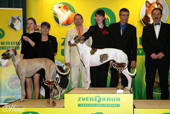 Šampion šampionů ČR 2007