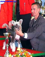 You´re my Man of Honeycroft - i na druhé výstavě získal titul reserve Puppy Best in Show.