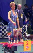 Res. BIG - Champion of Champions Budapest 2002 - Gessi Modrý květ