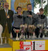 Winner breeders group Modrý květ - 11.10.2003