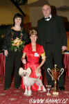 Ch. Kitty z Haliparku - BOB (Z. Jílková) a BIG 1 (P. Řehánek) na soutěži Šampion šampiojů 2007 v Praze! Moc děkujeme!