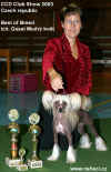 93 chinese crested dogs in competition on Czech club dog show! Judge Mrs. Bregenzer, Austria