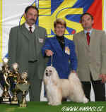 Ich. Cody z Haliparku - prvn labutnka v historii, kter v R vyhrla BIS na MVP Praha 2006