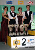 Dal spch chs.s Modr kvt - World dog show 2003 Dortmund - 2. msto